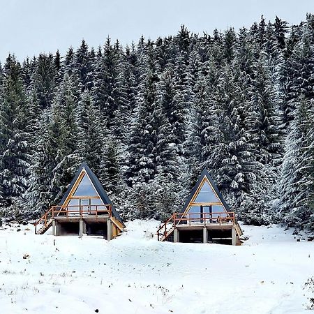 Aa Frame Retreat Fundata Dış mekan fotoğraf