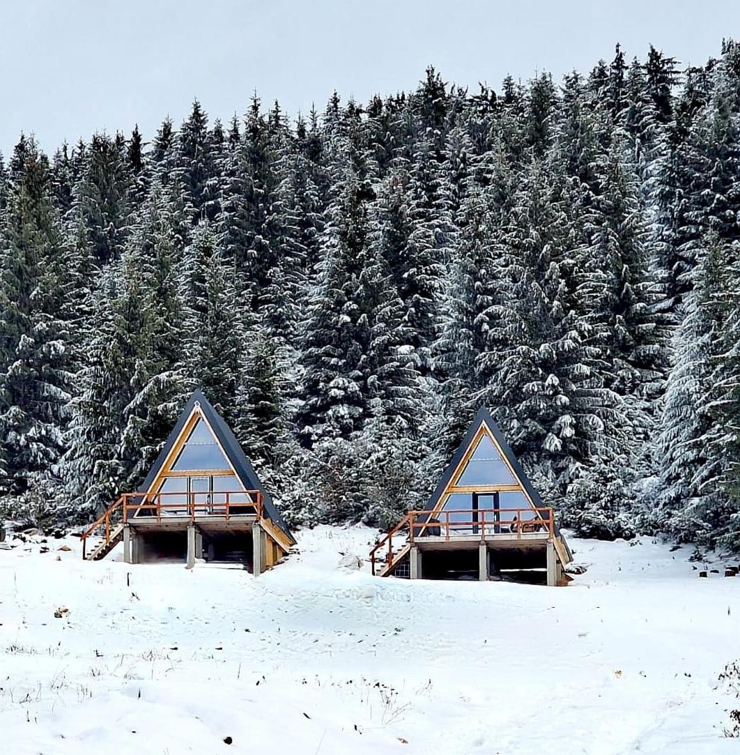 Aa Frame Retreat Fundata Dış mekan fotoğraf