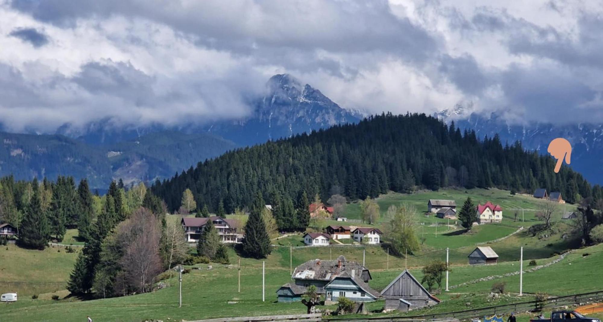 Aa Frame Retreat Fundata Dış mekan fotoğraf