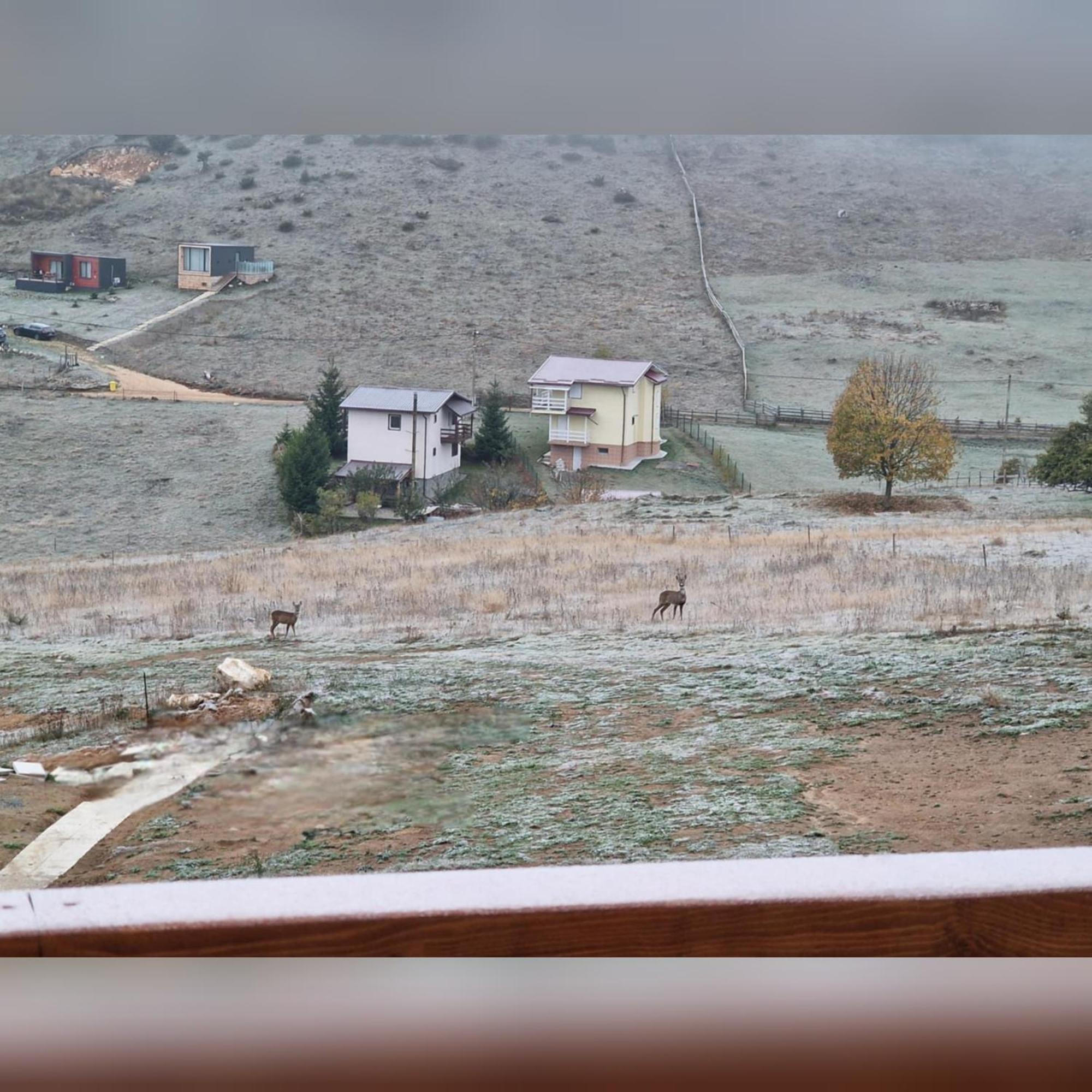 Aa Frame Retreat Fundata Dış mekan fotoğraf